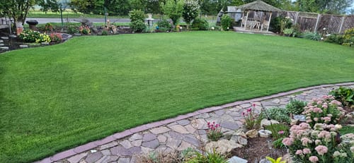 Customer's well-maintained lawn treated with RASENBLITZ™ Herbstdünger, showing green grass and garden pathways.