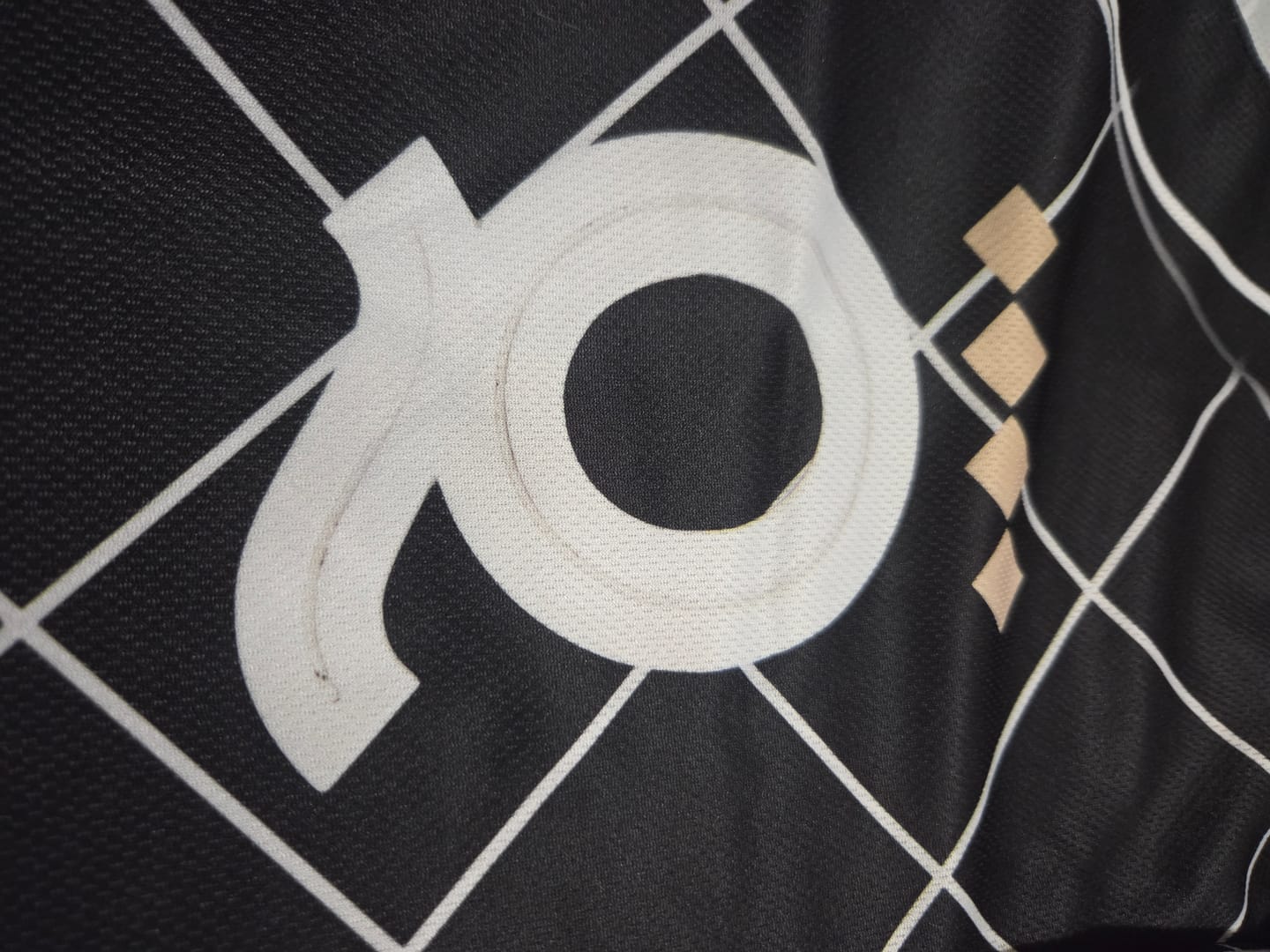 Customer photo review of Los Angeles Queens WPBL Inspired by Lizzie Murphy 2026 Baseball Jersey