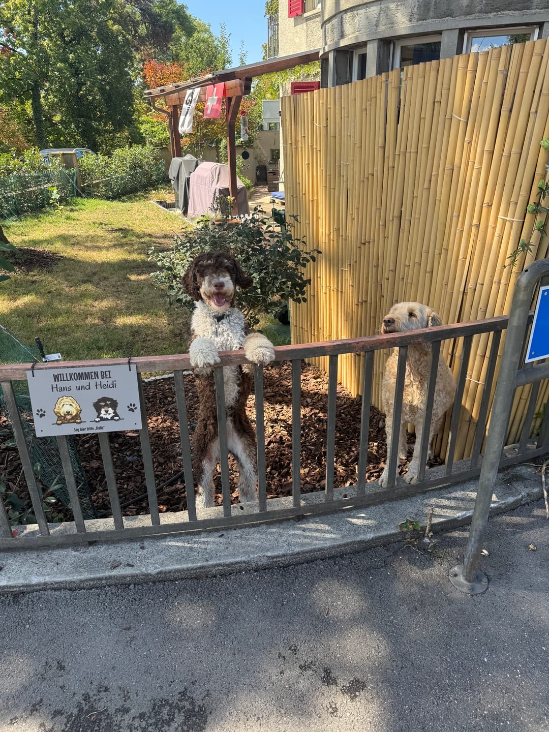 Customer photo review of Personalisiertes Türschild - Spähende Haustiere