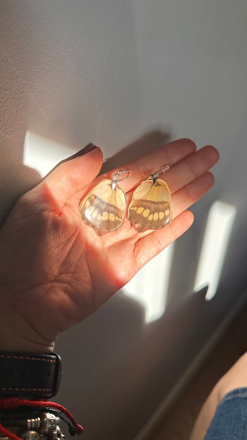 Customer photo review of Pendientes Mariposa Siproeta Stelenes cortos