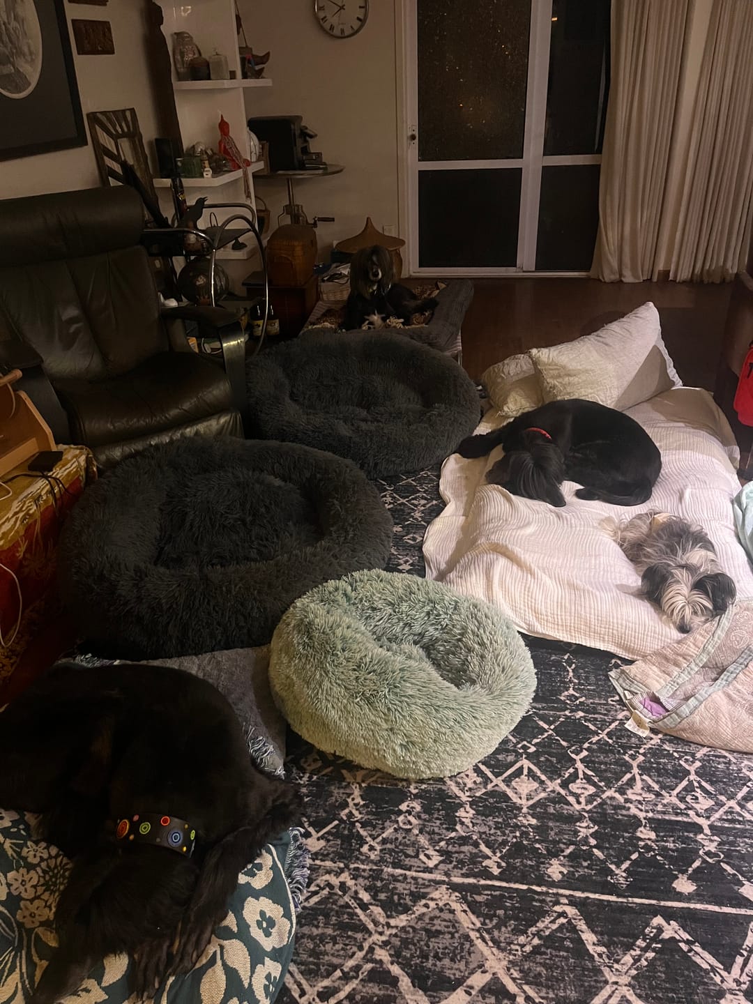 Customer photo review of Designer Relax Mat