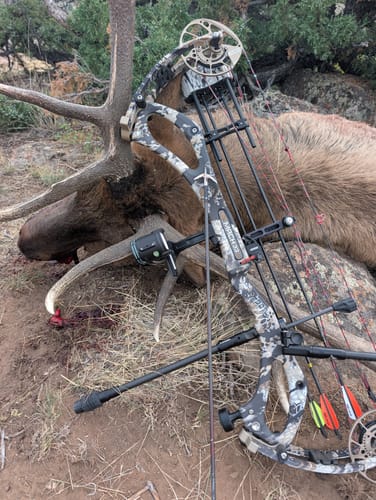 Customer photo review of Cut on Contact Titanium Broadheads (3 Pack)