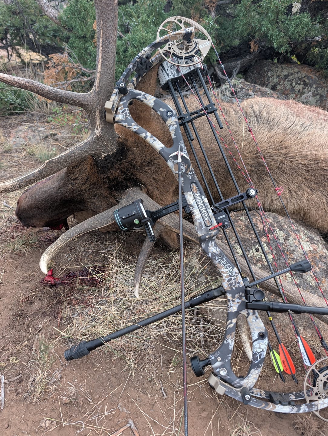 Customer photo review of Cut on Contact Titanium Broadheads (3 Pack)