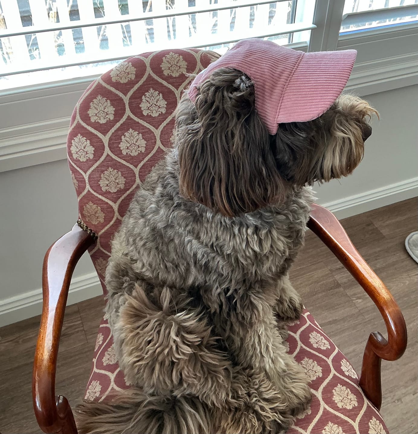 Customer photo review of DOG HATS