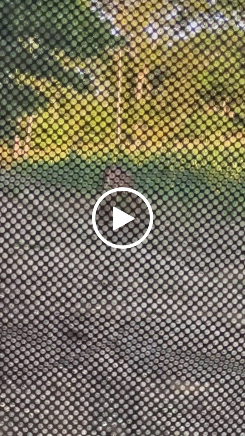 Customer video review of Worry-Free Purchase