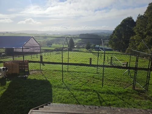 Customer photo review of Aegis Outdoor Dog Run With Two Covers - 196x776x230cm