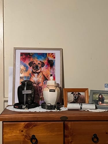 Customer photo review of Personalised Poster With Dog or Cat - Graffiti