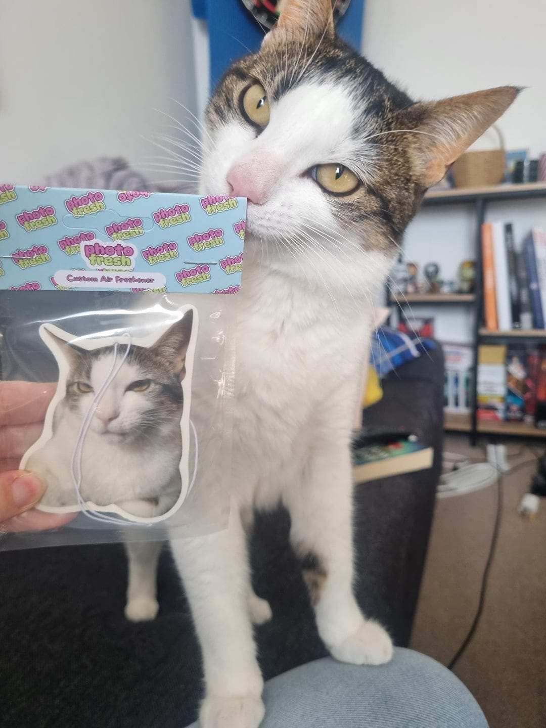 Customer photo review of Personalised Car Air Freshener