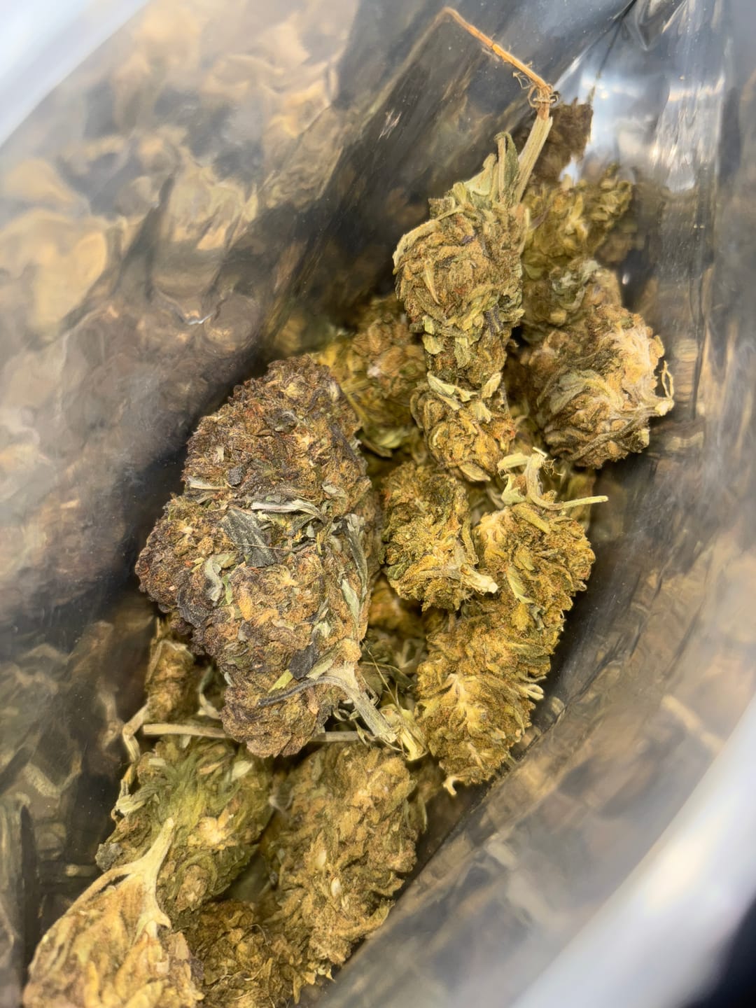 Customer photo review of Blackout Berries THCA Flower Ounce (28g)