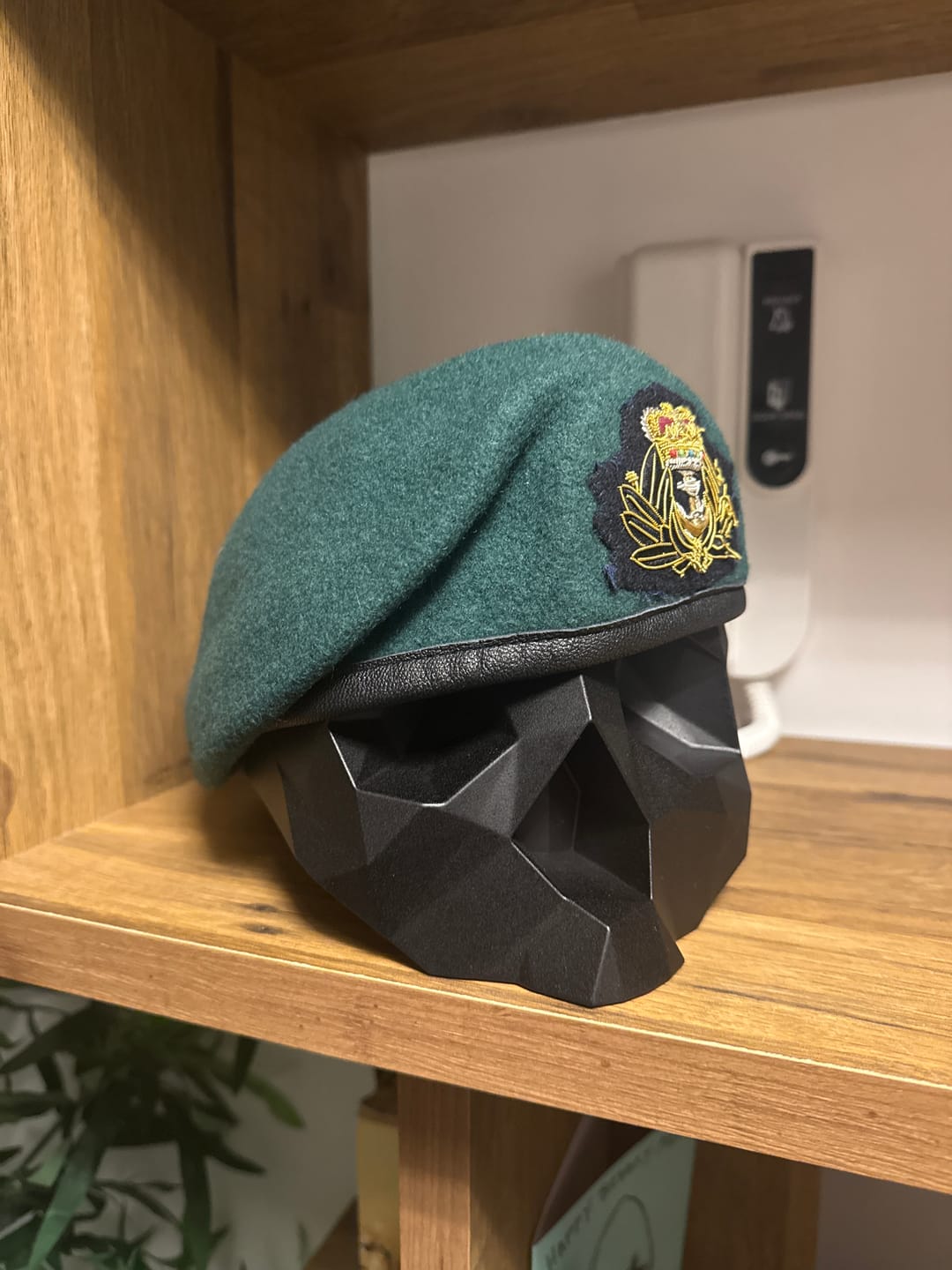 Customer photo review of Black Skull Stand
