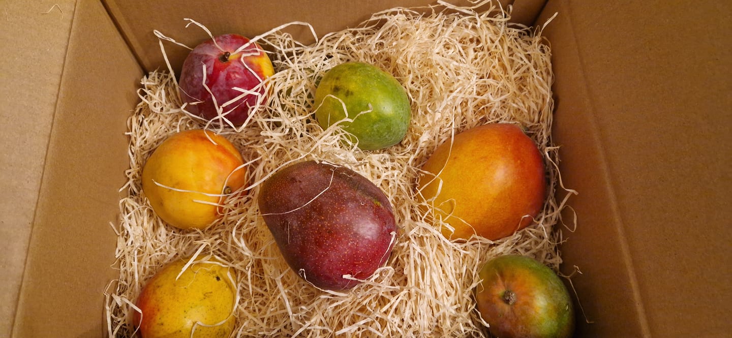 Customer photo review of Mango Mix von Juan 3kg Aktion %