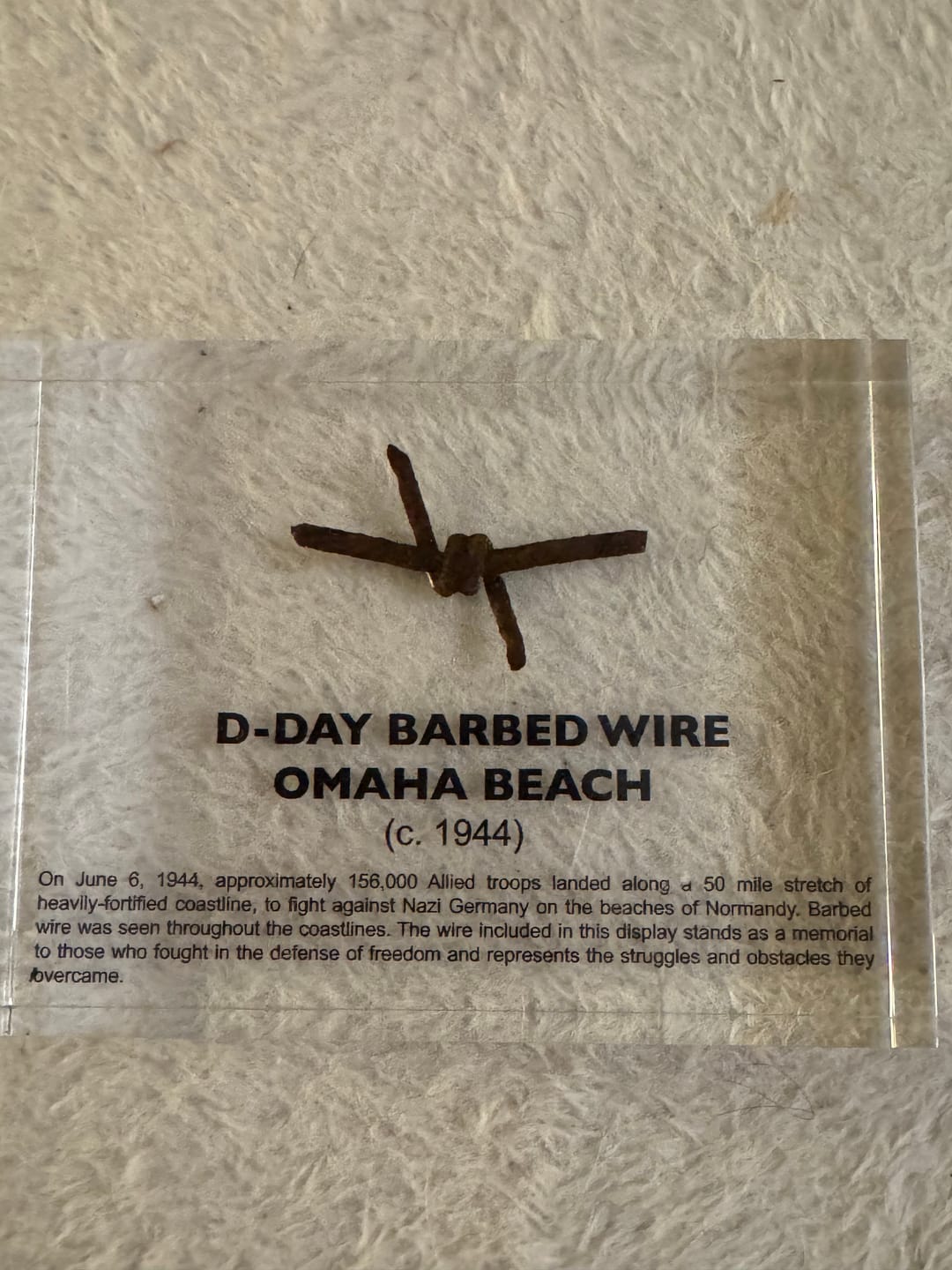 Customer photo review of D-Day Barbed Wire Artifact Display