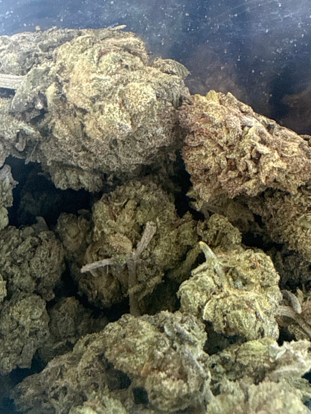Customer photo review of Frozen Lemons THCA Flower