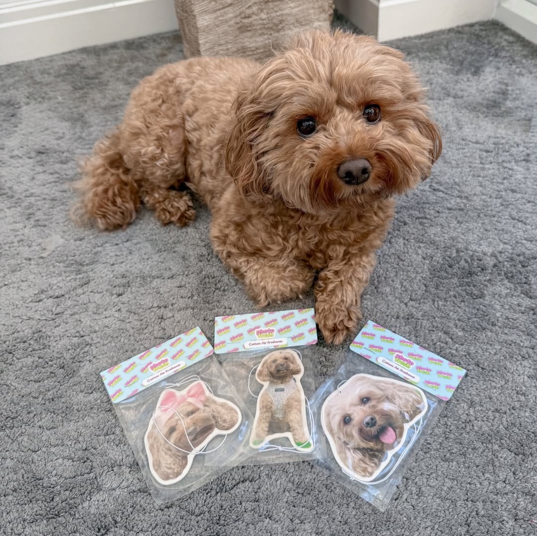 Customer photo review of Personalised Car Air Freshener