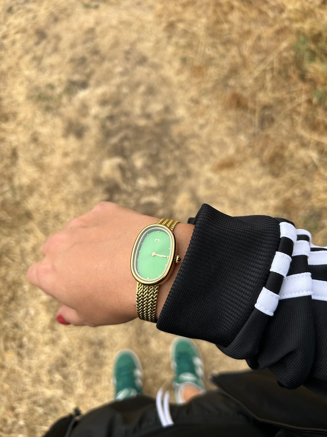 Customer photo review of Reloj Vintage Royale ~ GoldGreen
