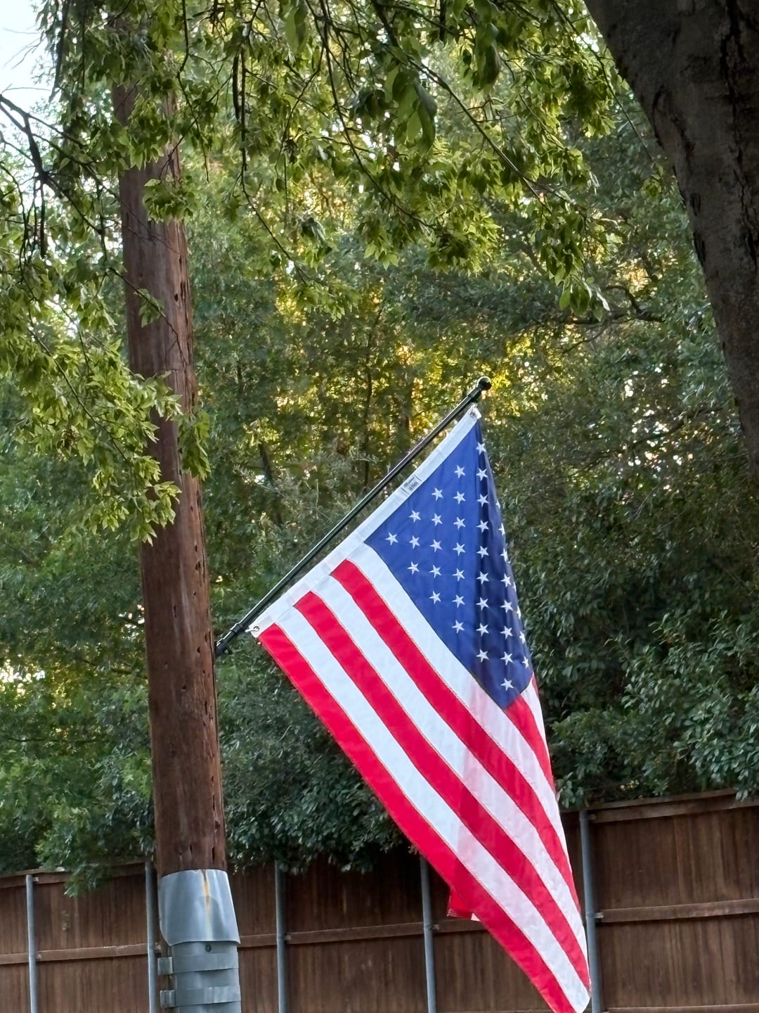 Customer photo review of 4' x 6' American Flag