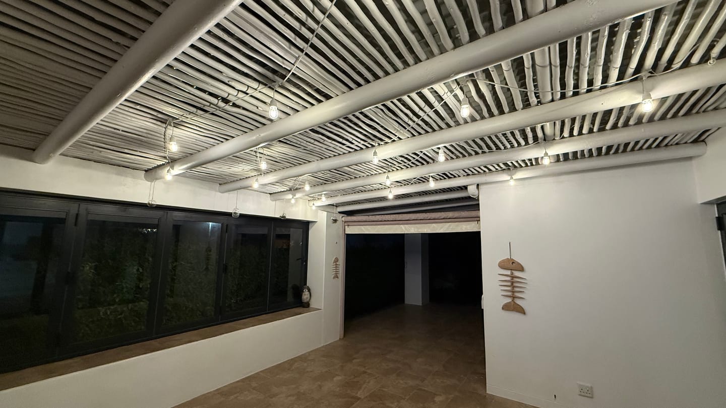 Customer photo review of Plug-In Festoon Bulb String Lights - White