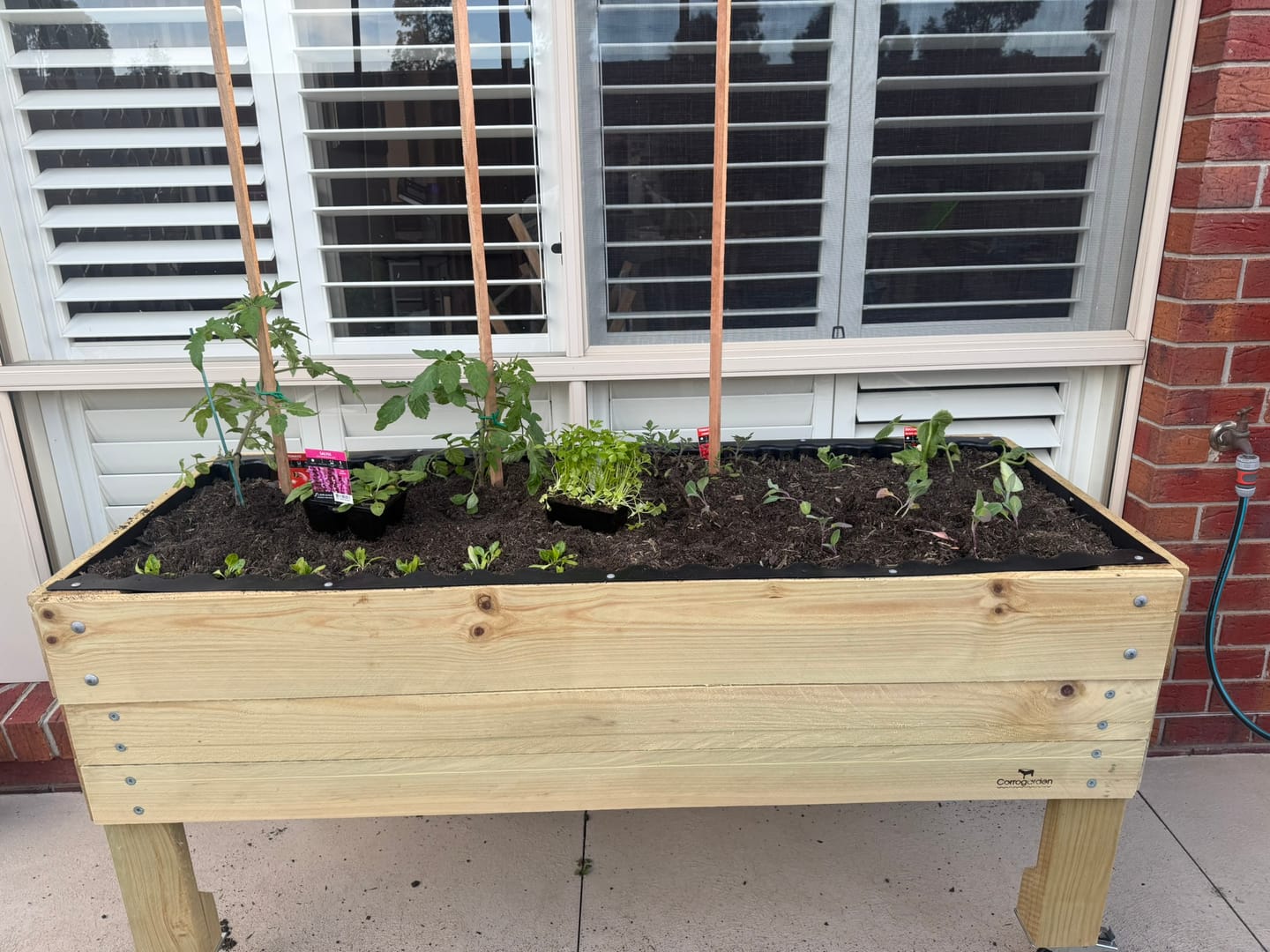 Customer photo review of Large Raised Garden Bed with Wheels Kit - 157x60x80cm(h) - Australia Wide Shipping