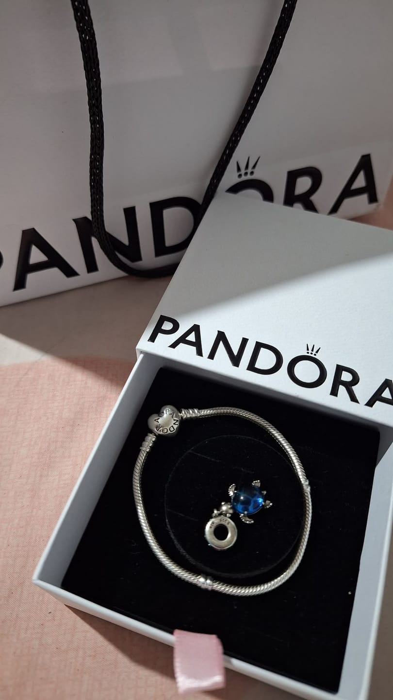 Customer photo review of Charm Tortuga Azul