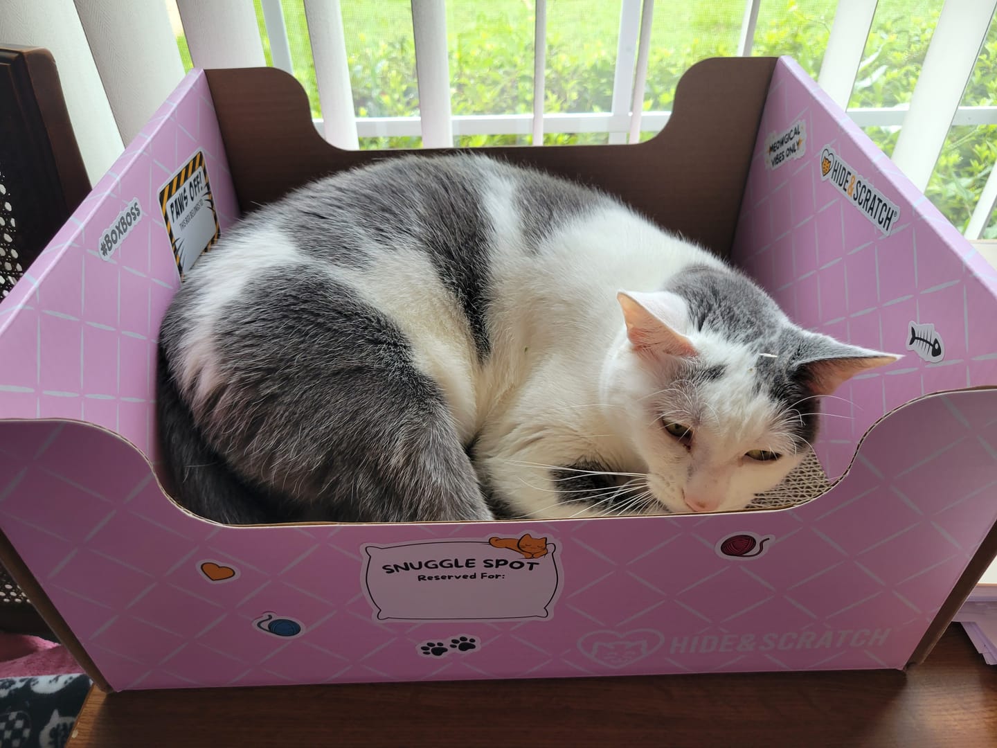 Customer photo review of Hide & Scratch Extra-Large Cat Scratcher Box
