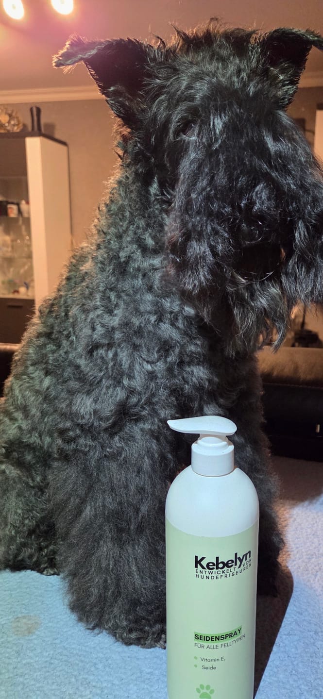 Customer photo review of Fell-Seidenspray