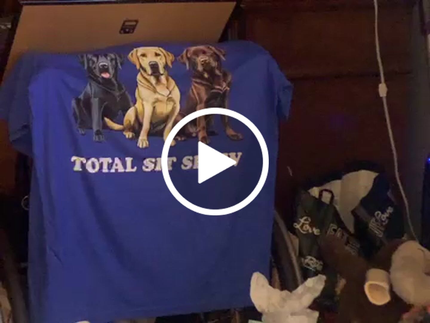 Customer video review of Total Sit Show Labrador