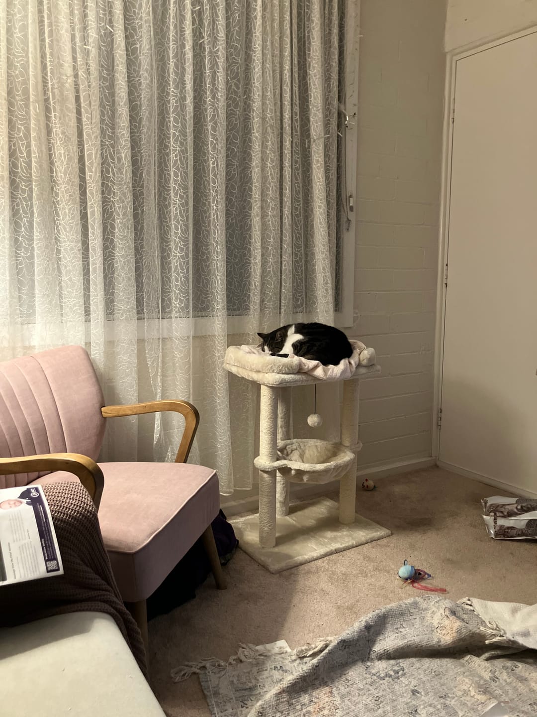 Customer photo review of Cat Tree Tower with Hammock Play Ball 6cm Sisal Post Large Perch Beige