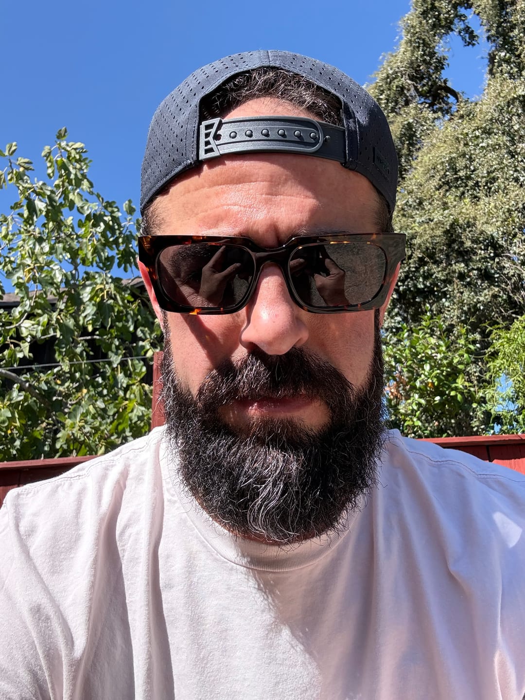 Customer photo review of AMBASSADOR/ DARK TORT