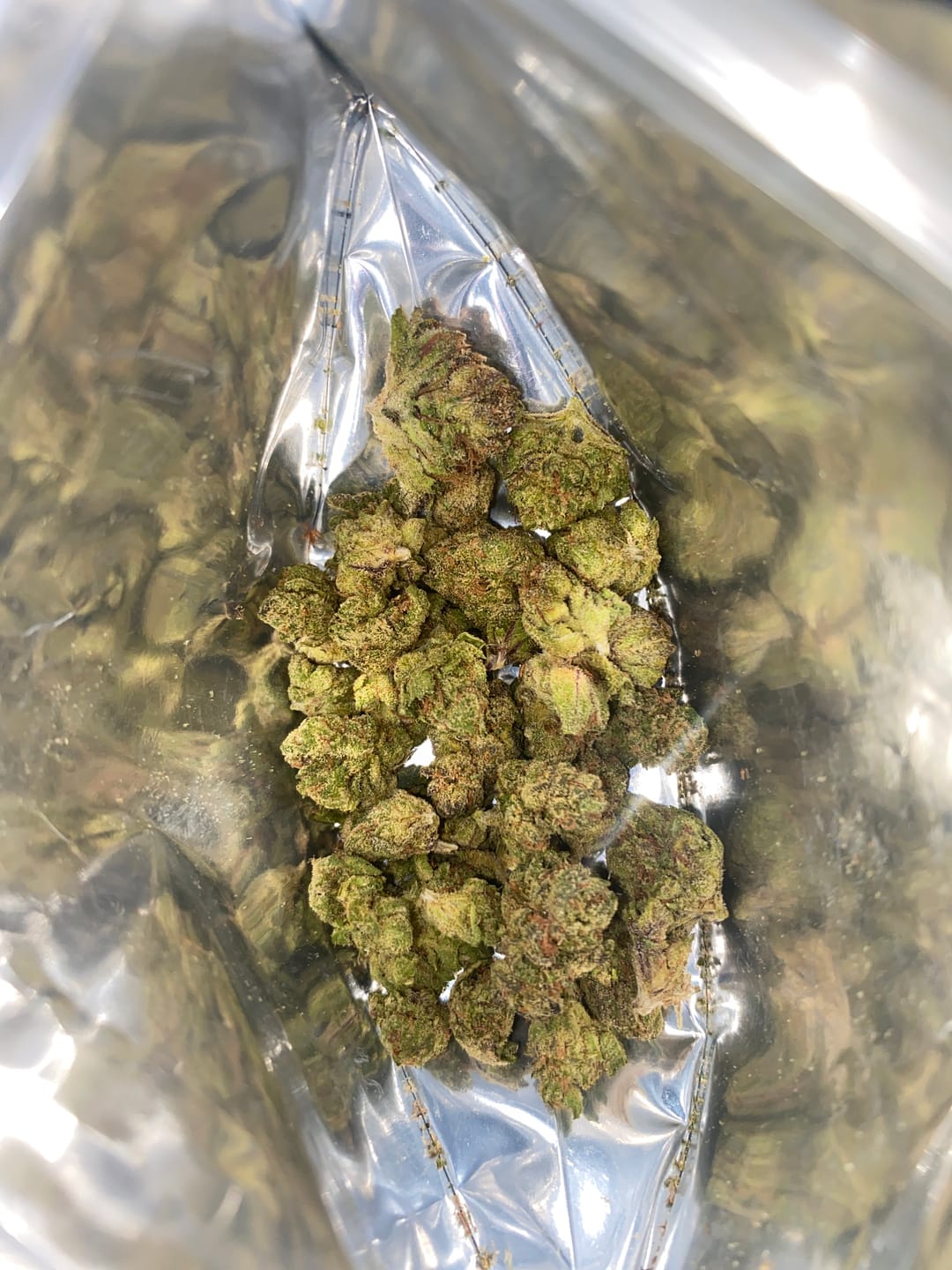 Customer photo review of GDP THCA Flower