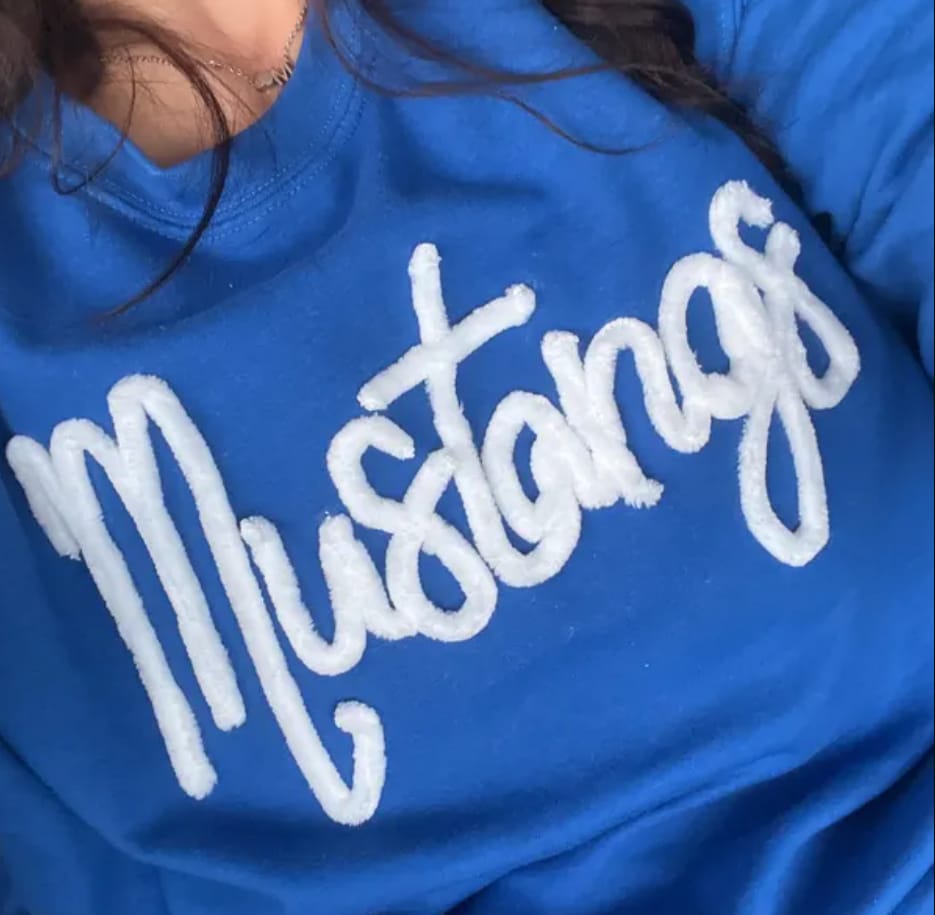 Customer photo review of Custom College Chenille Team Name Embroidered Sweatshirt | Gifts for Sports Mom