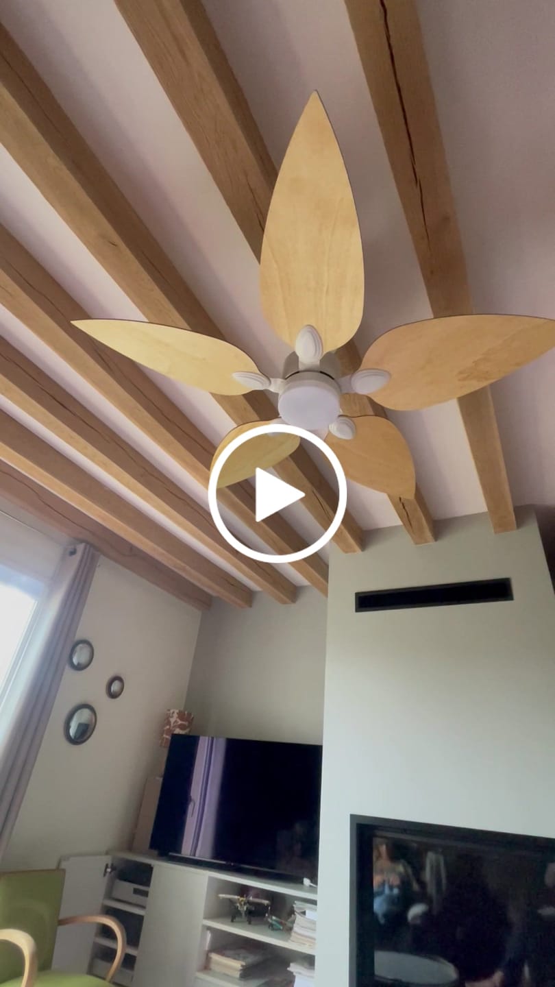 Customer video review of Virevole teinté Chêne | Ventilateur de plafond – Ø 131 cm