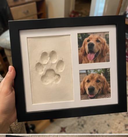 Customer photo review of Nuvli Forever Paw Keepsake