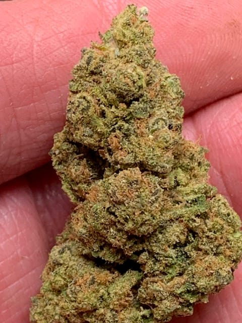 Customer photo review of Cheap Indoor THCA Flower Ounce