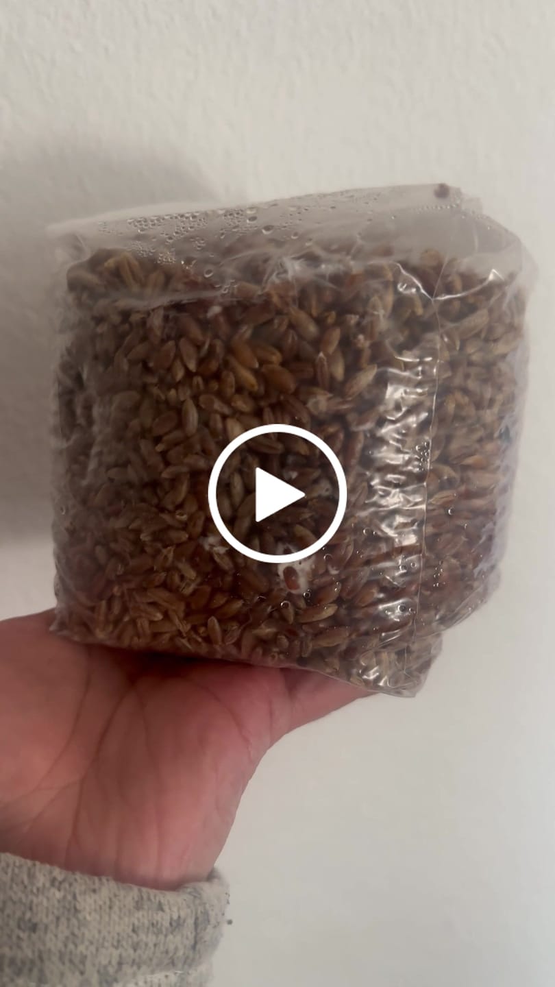 Customer video review of Recarga de Cultivo 160g