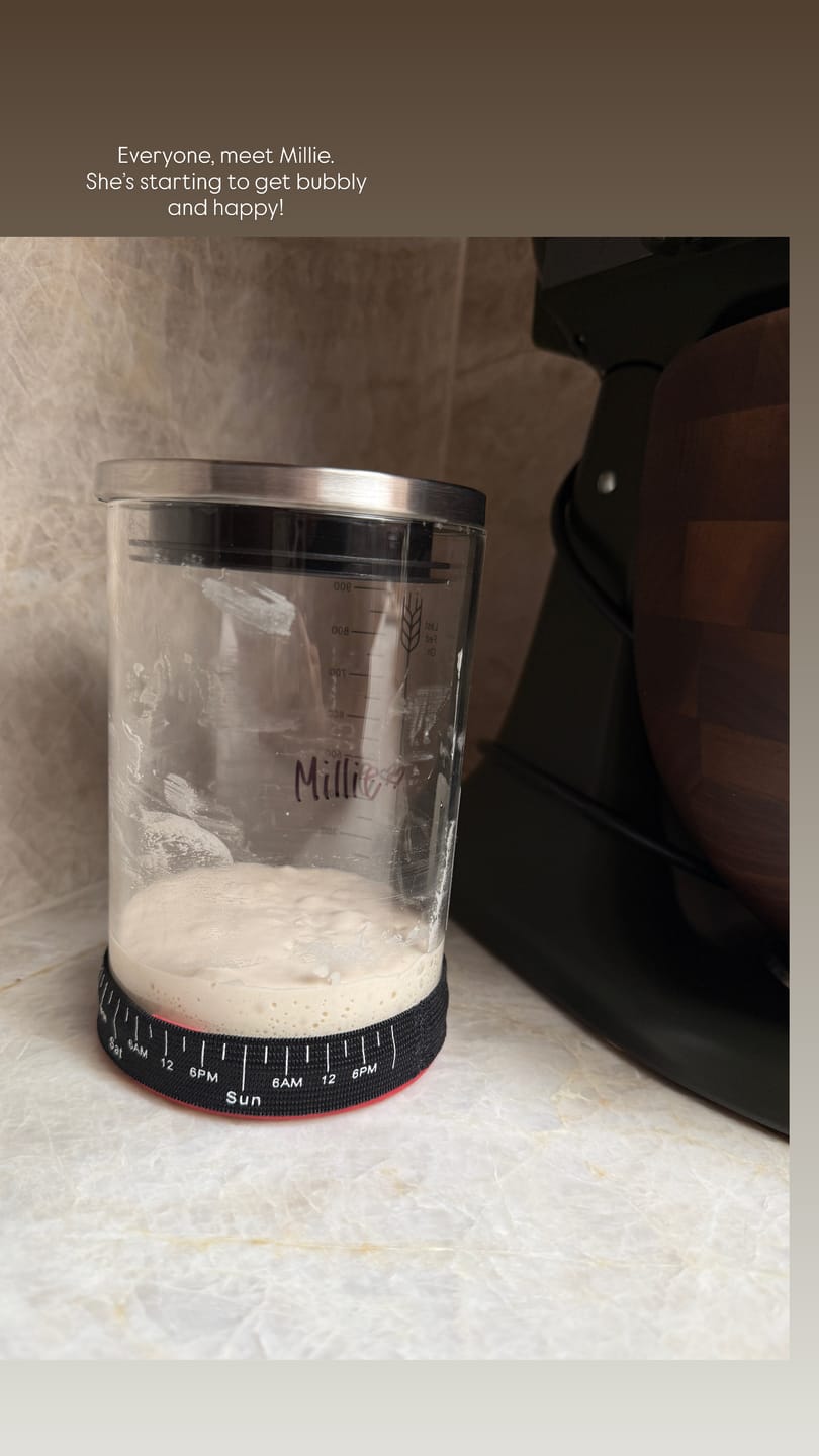 Customer photo review of Little Ranch Family’s LIVE Organic 119 Year Old Sourdough Starter & Recipes