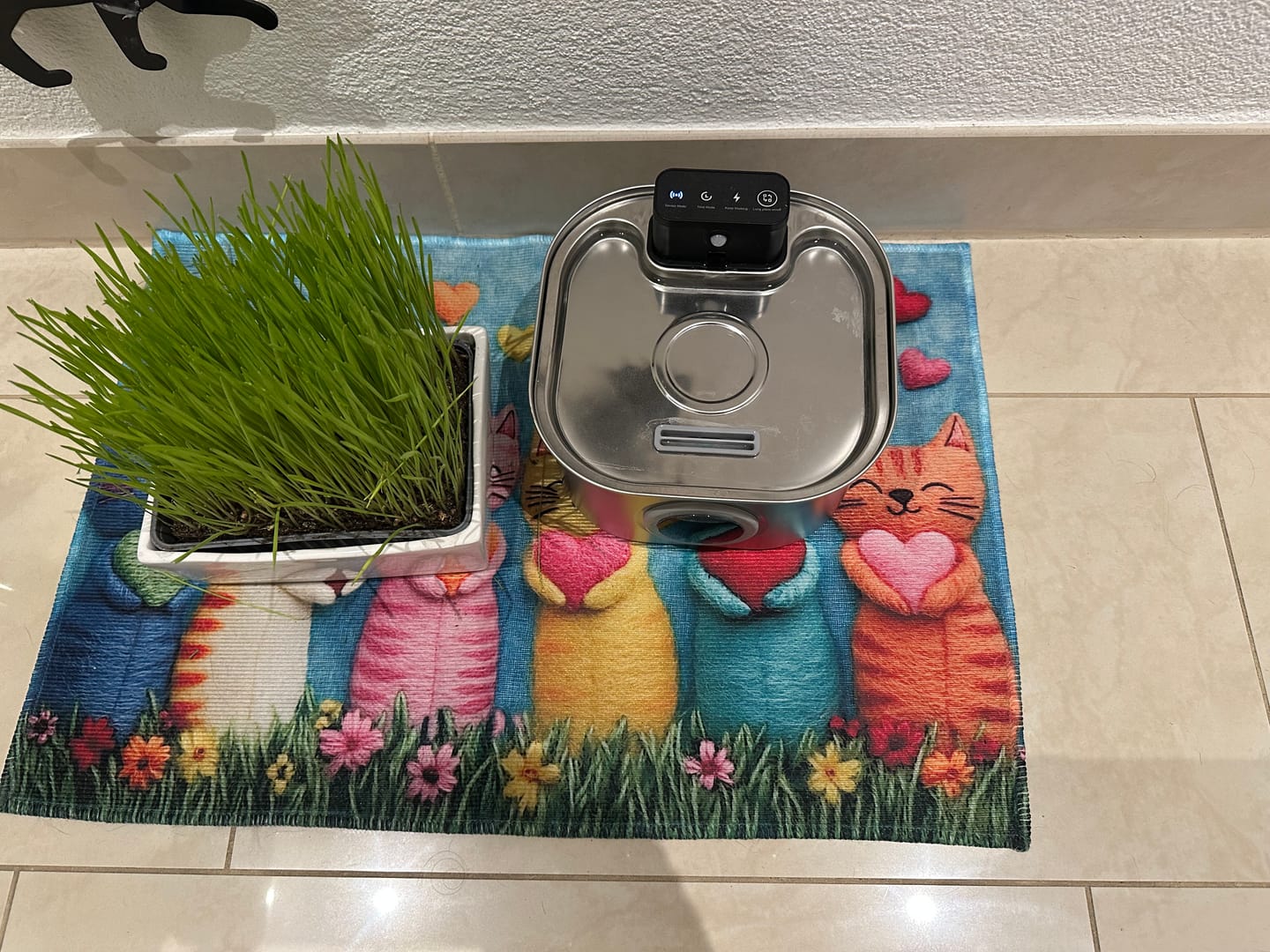 Customer photo review of PfotenBrunnen™ - Katzenwasserspender