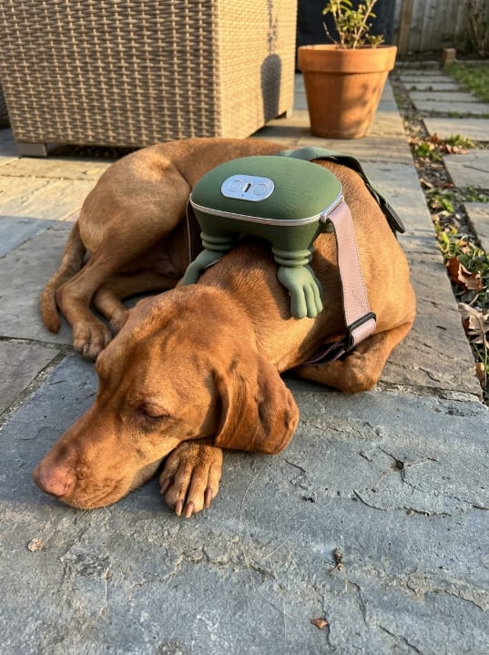Customer photo review of Zavelix™ Dual-Use Red Light & Deep-Kneading Massager for People & Pets