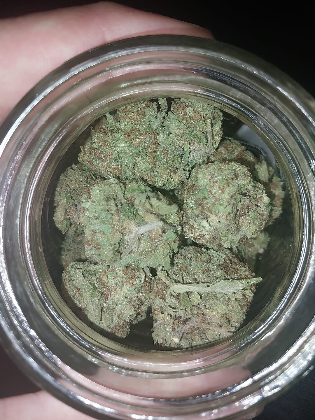 Customer photo review of Candy Gas THCA Flower