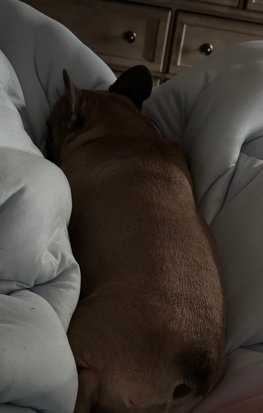 Customer photo review of Cloud Cooling Pillow Case