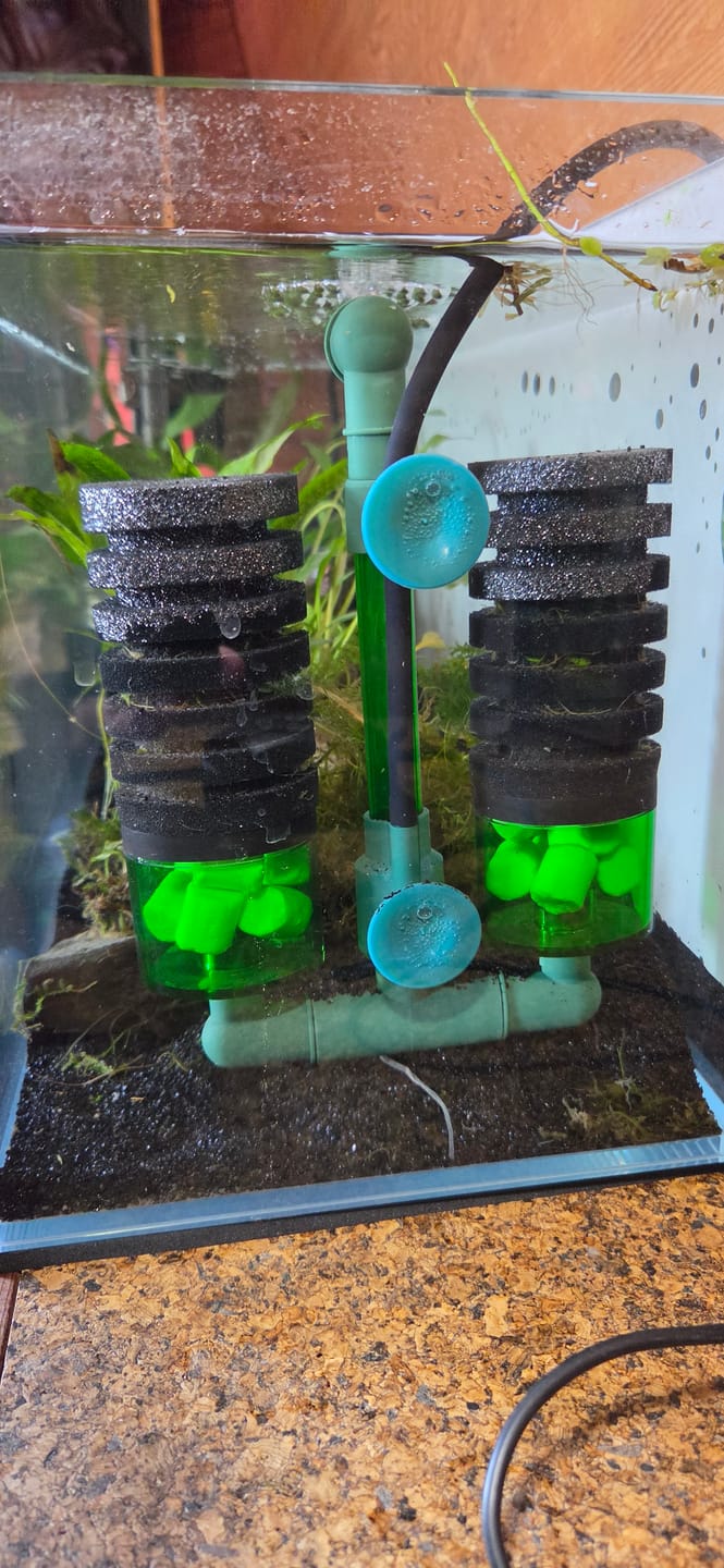 Customer photo review of Fish, Shrimp & Quarantine Filter