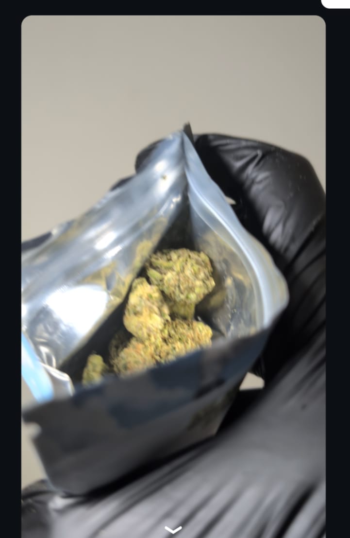Customer photo review of Blue Sharpiez THCA Flower