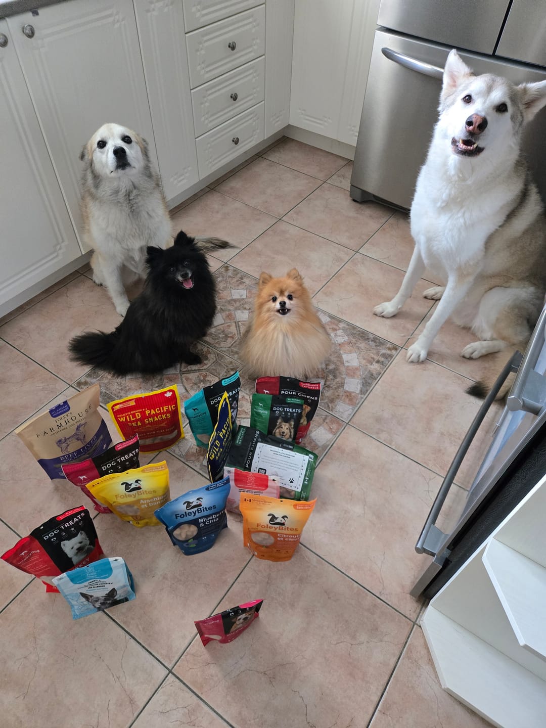 Customer photo review of Mixed - 12 Pack Bundle