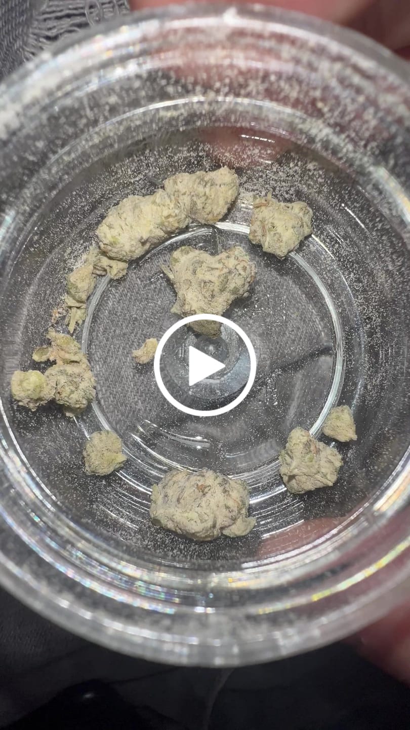 Customer video review of THCA Snowballs