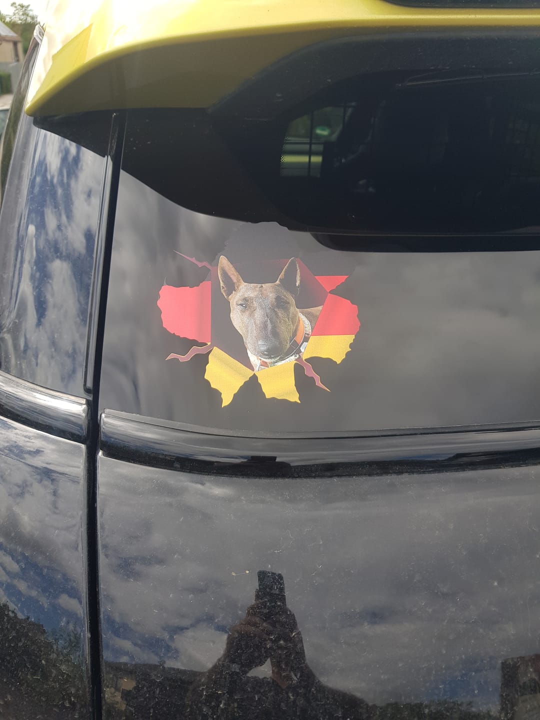 Customer photo review of Personalisierter Autoaufkleber - Spähendes Foto