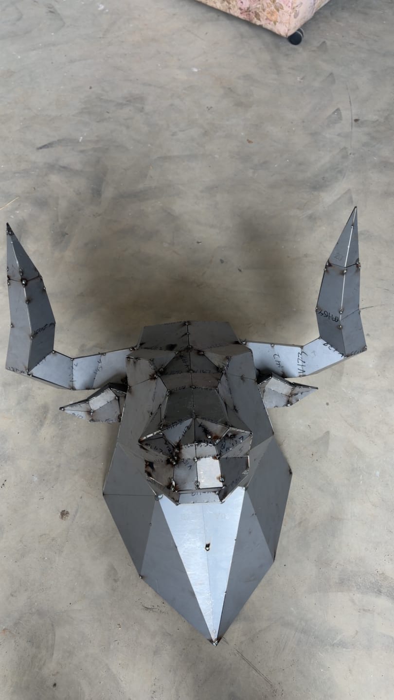 Customer photo review of Bull Head Kit