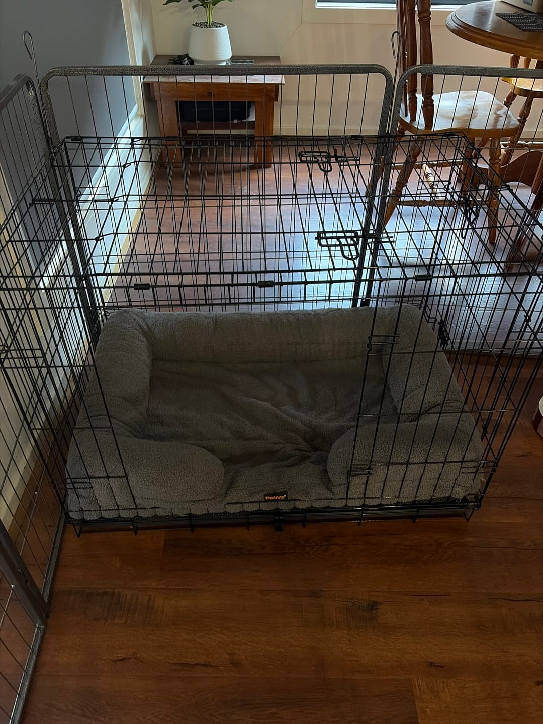Customer photo review of Pet Boucle Bed for Dog & Cat