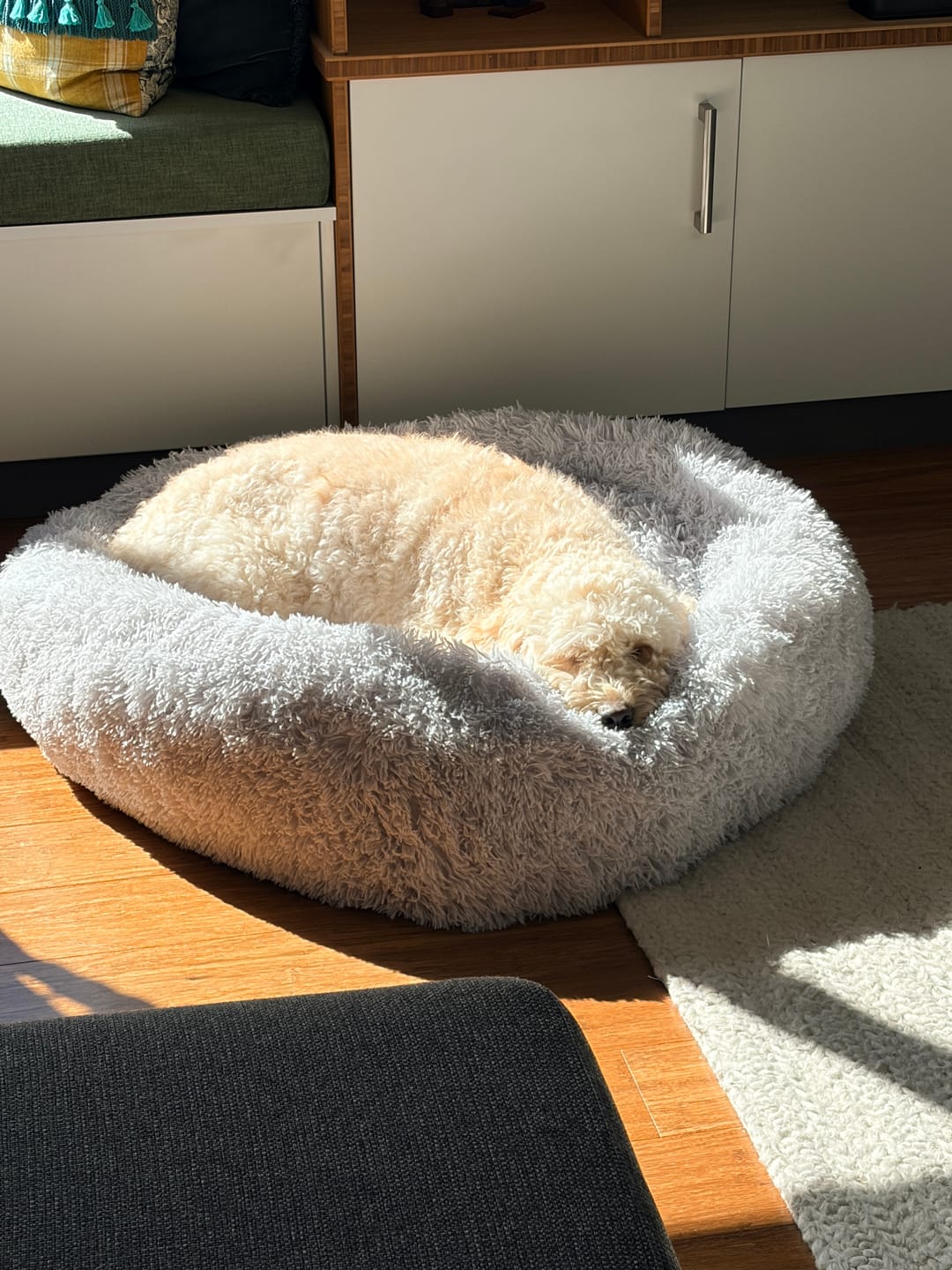Customer photo review of Spare Covers for Brooklyn® Deep Sleep