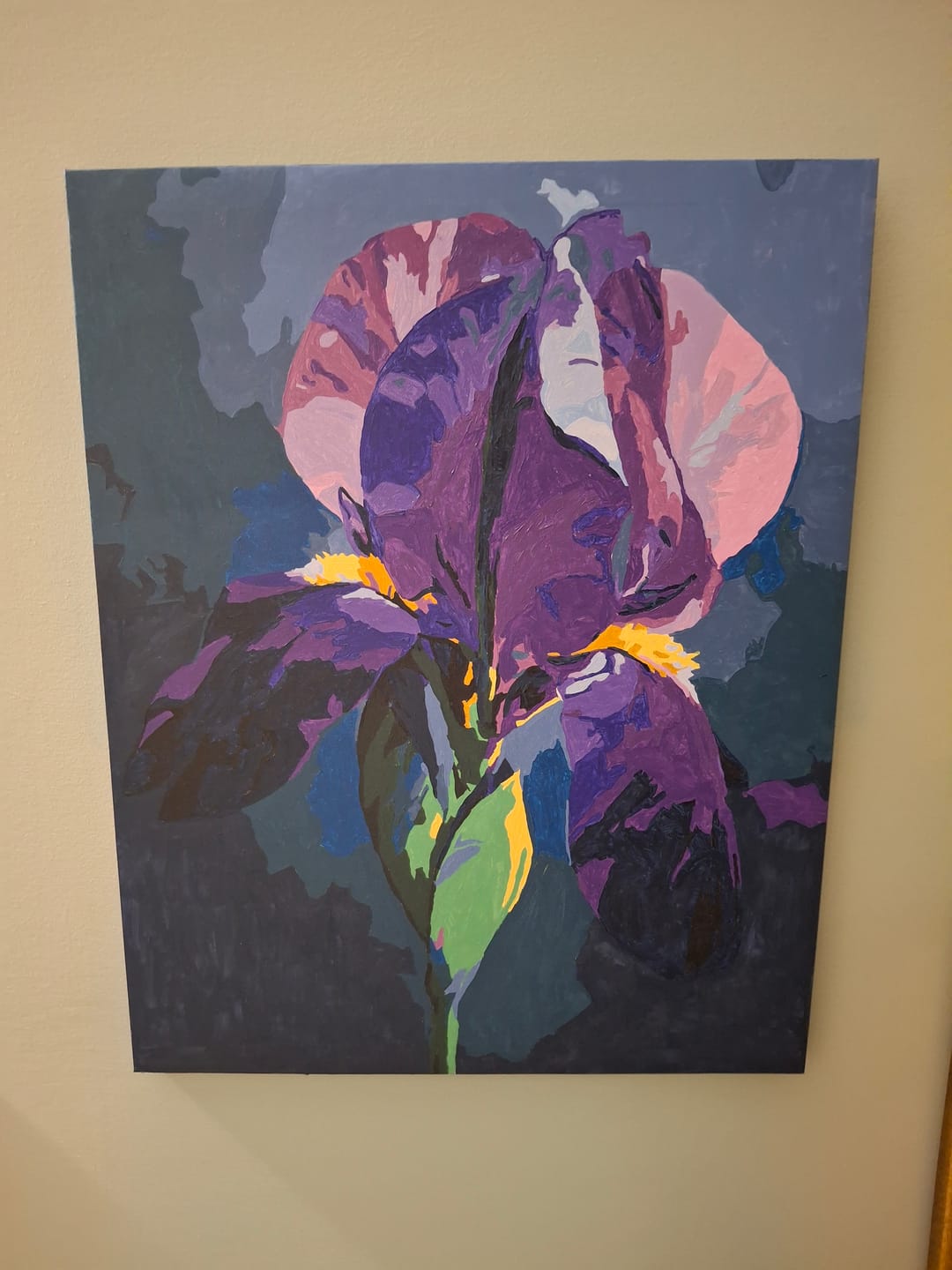 Customer photo review of Velvet Iris | Paint by Number