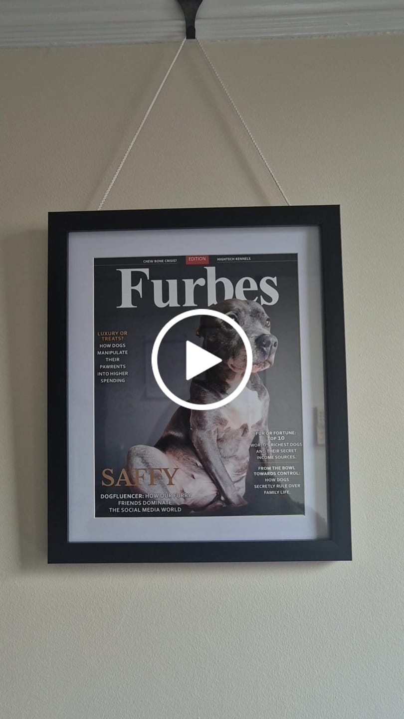 Customer video review of Furbes - Personalised Poster