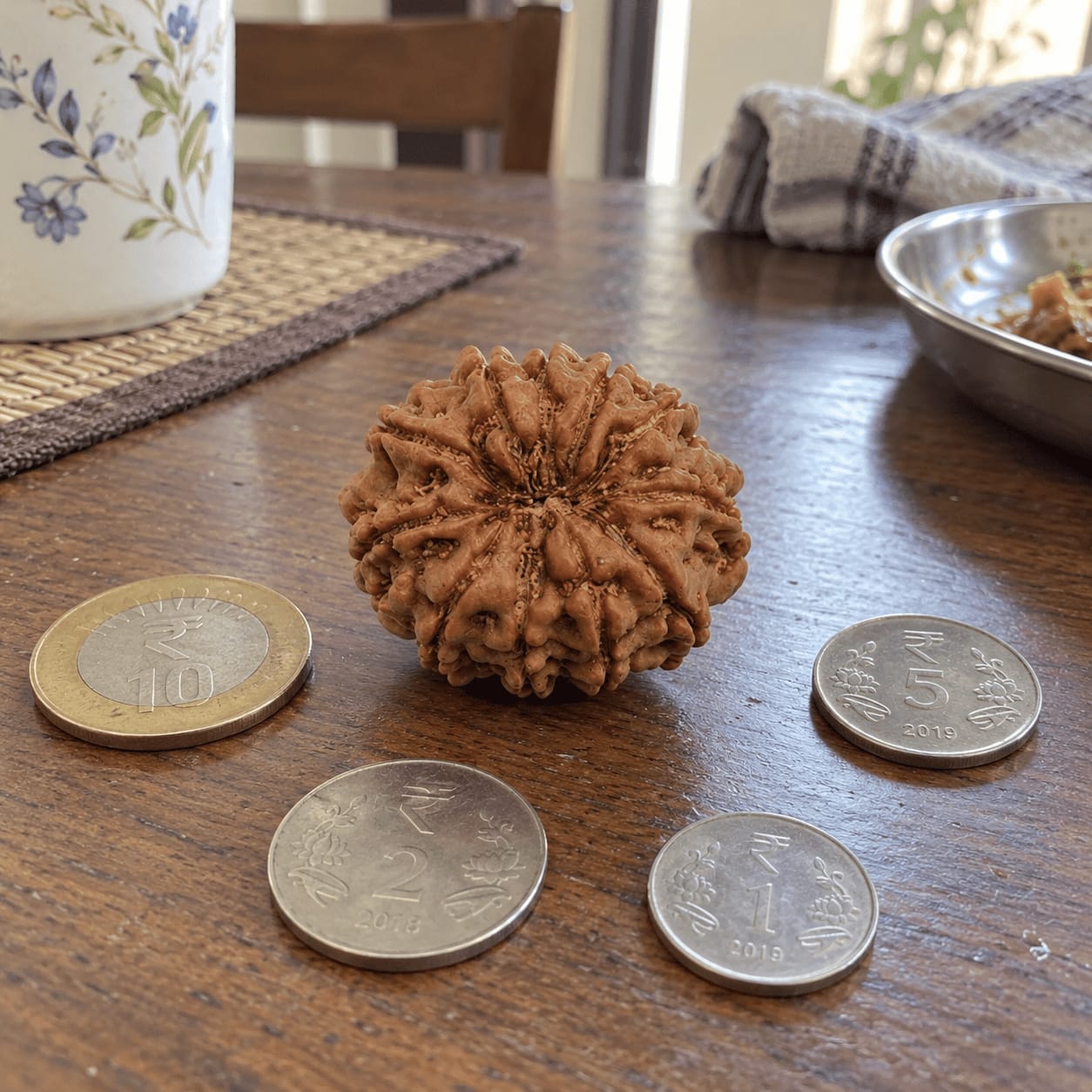Customer photo review of 11 Mukhi Rudraksha (Nepali)
